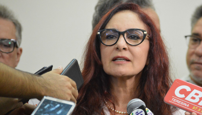 Deputado Estadual Liziê Coelho