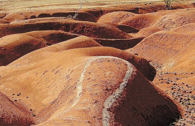 Conheça as origens da Desertificação no Piauí