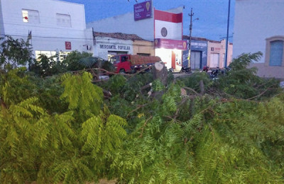 Corte e poda de árvores em praça causa polêmica em Oeiras-PI