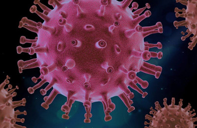 Saiba como surge um novo vírus como o que causa a COVID-19?
