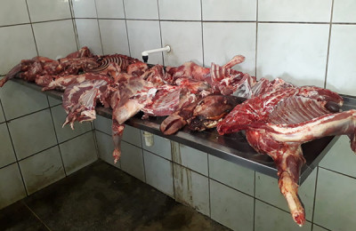 PROCON encontra carne estragada sendo vendida em Oeiras-PI