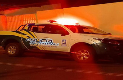 Polícia prende homem acusado de agredir a esposa grávida no Piauí