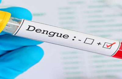 Piauí tem 28 municípios em situação crítica em relação a casos de dengue