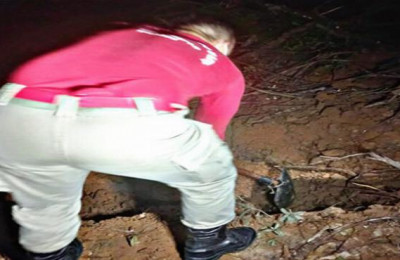 Corpo de mulher é encontrado enterrado em cova rasa em Teresina