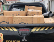 Polícia Federal cumpre vários mandados contra lavagem de dinheiro no Piauí