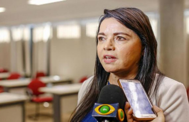 Entenda como Teresa Britto pode disputar a prefeitura de Teresina pelo PV